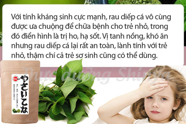 Bột diếp cá sấy lạnh nguyên chất Better Life Shinya