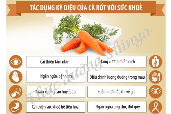 Công dụng của cà rốt