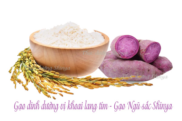 Gạo dinh dưỡng vị khoai lang tím